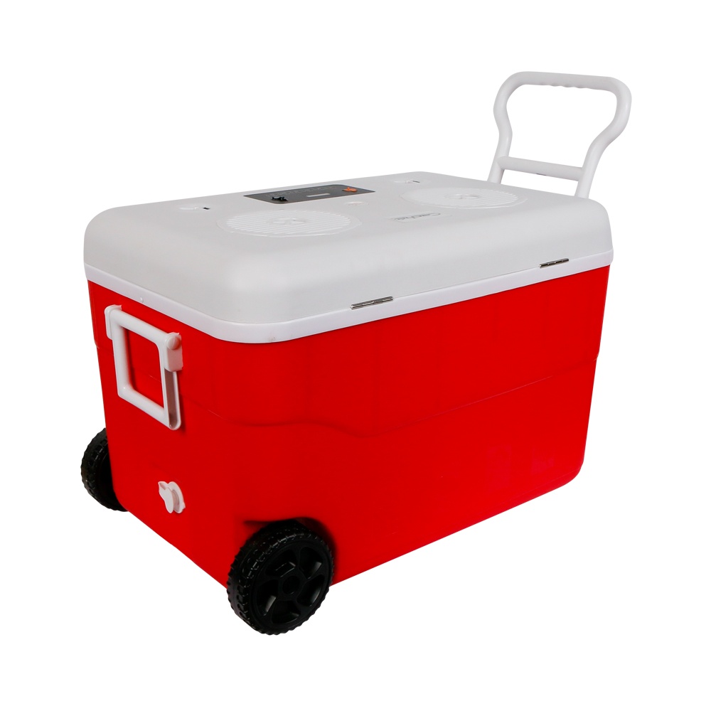 Cerwin Vega Cooler w/Marine-Built Speaker