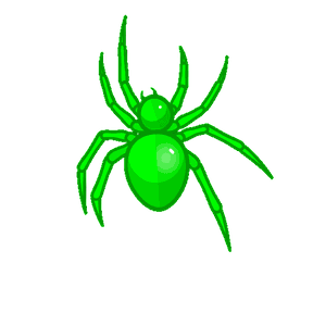 Spider crawling on a web